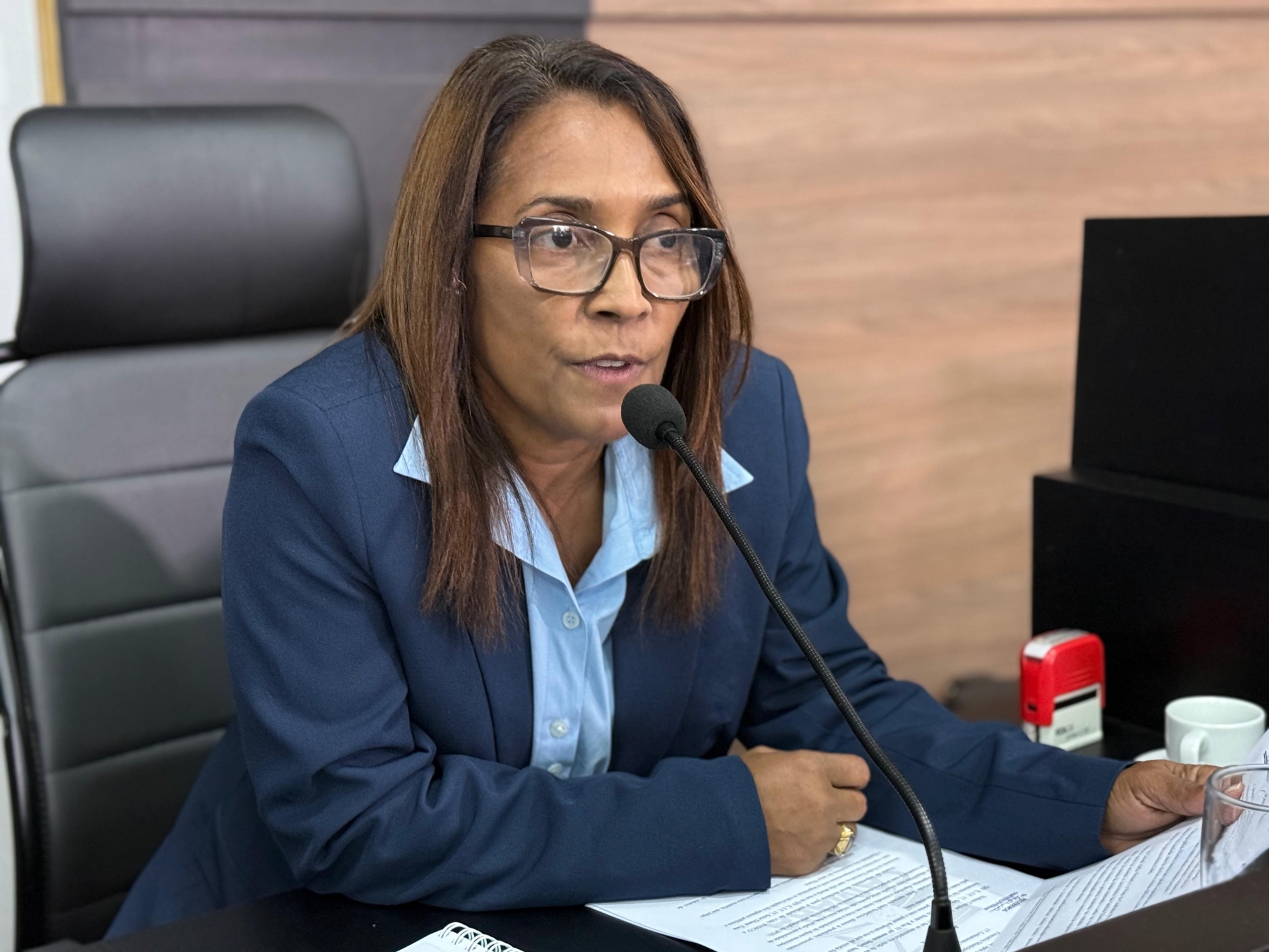 Câmara inicia sessões de novembro com pautas voltas à ética, infraestrutura e valorização cidadã 
