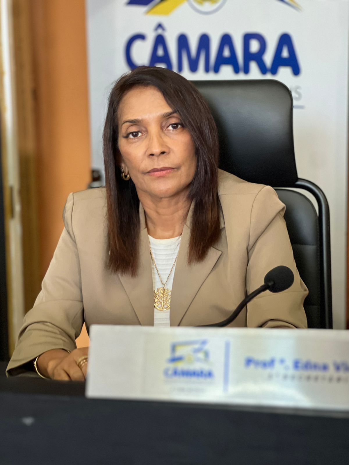 Câmara encerra calendário de sessões de abril com produtividade histórica e aprova pacote de ações para a população 